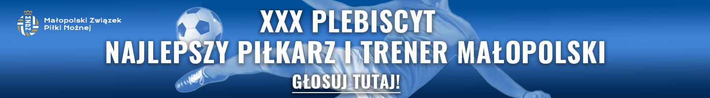 plebiscyt głosowanie